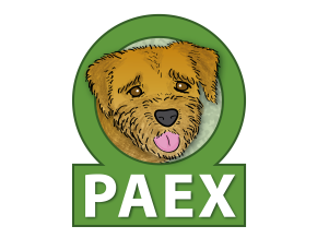 PAEX Logo RZ